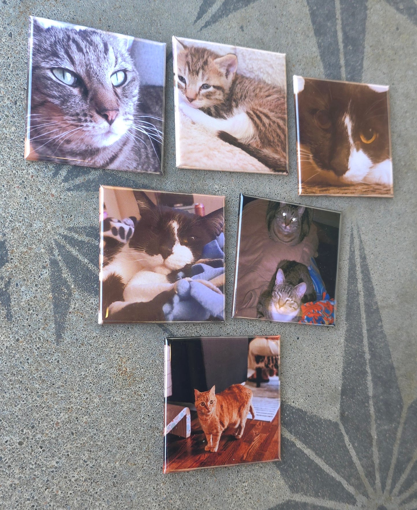 Custom 2"x2" Photo Magnets (set of 9)